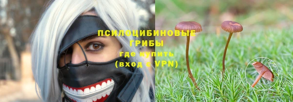 бошки Арсеньев