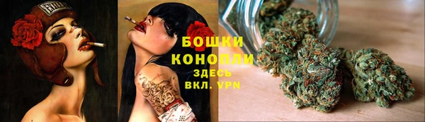 бошки Арсеньев