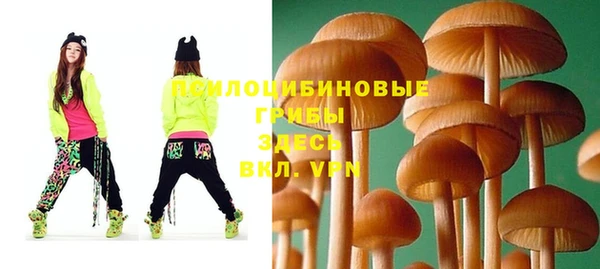 спайс Аркадак