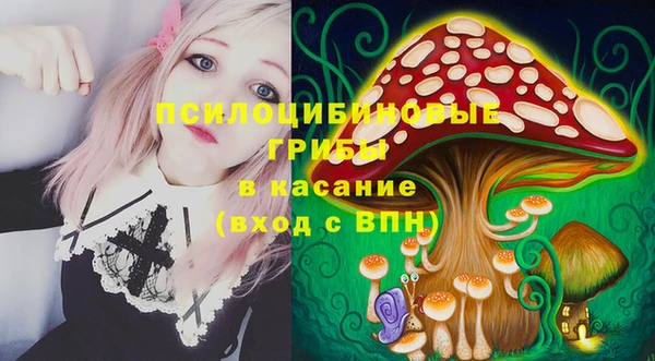 спайс Аркадак