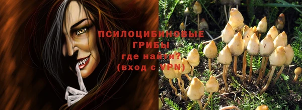 бошки Арсеньев